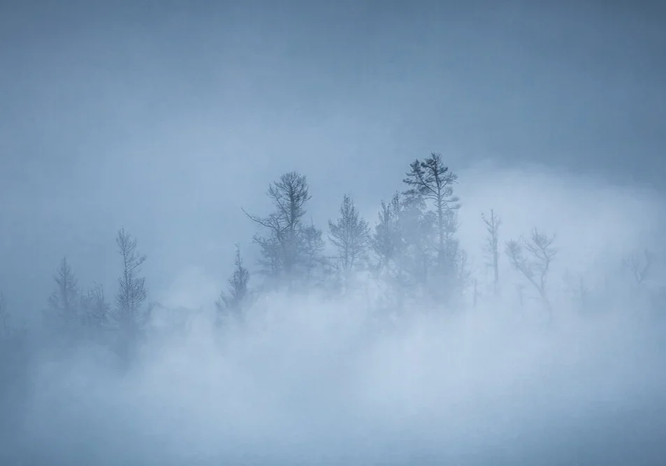 cloud+bank+signed