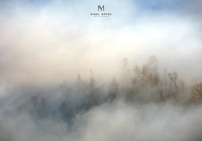 cloud+nine+signed