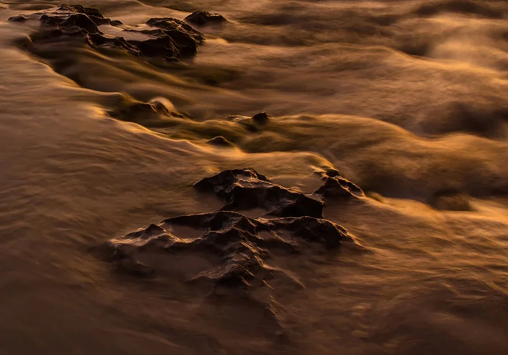 ebb+&+flow+signed
