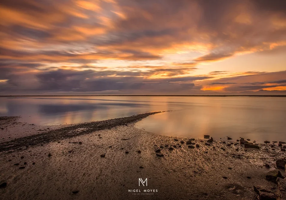 morning+tide+signed