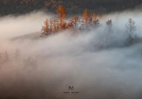 summit+mist+signed