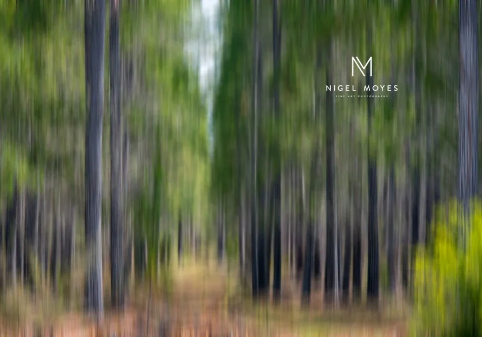 Landscape Prints For Sale in Perth