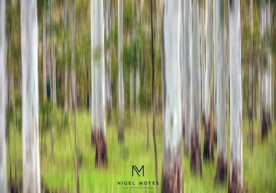 Landscape Prints For Sale in Perth